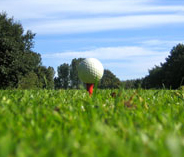 Golfball auf Tee Focus